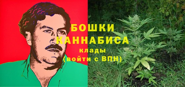 прущие грибы Аркадак