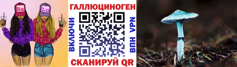 закладки Верхний Уфалей Псилоцибиновые грибы GOLDEN TEACHER